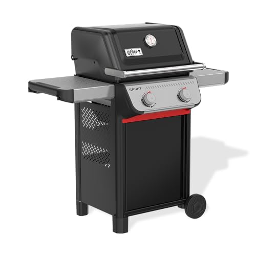 Weber Spirit E-210 Liquid Propane Gas Grill for Outdoor Cooking and BBQ, 2 Burners, Black – Porcelain-Enameled Cast-Iron Grates & Snap-Jet Ignition