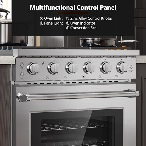 Empava 30 Inch Gas Range with True Convection, 4.55 Cu. Ft Oven, 18,000 BTU Power Burner for Searing, 5 Sealed Burners Cooktop, Convertible NG/LP, Stainless Steel, CSA Certified