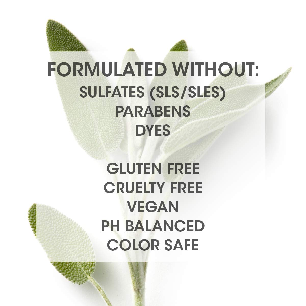 SEVEN Cubica Dry Shampoo for Women & Men, Post Workout Oily Hair, No White Residue, Cruelty Free, Non Toxic Volumizing Spray, Chamomile, Rosemary, Zeolite, Made in USA, 4.7 oz
