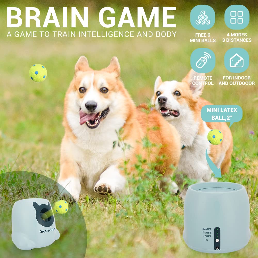 Greenvine Automatic Dog Ball Launcher Interactive Ball Thrower Fetch it Machine for Dogs with 6 Durable High Elasticity Latex Balls Included