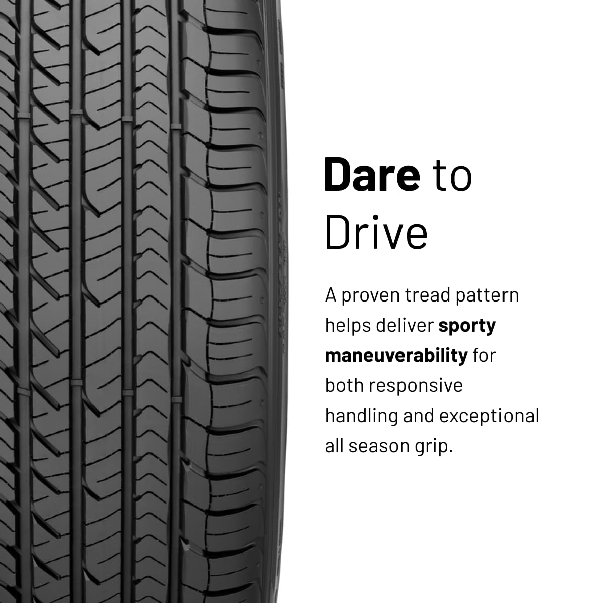 Goodyear Eagle Sport All-Season Tire, 205/55R16, Set of 1