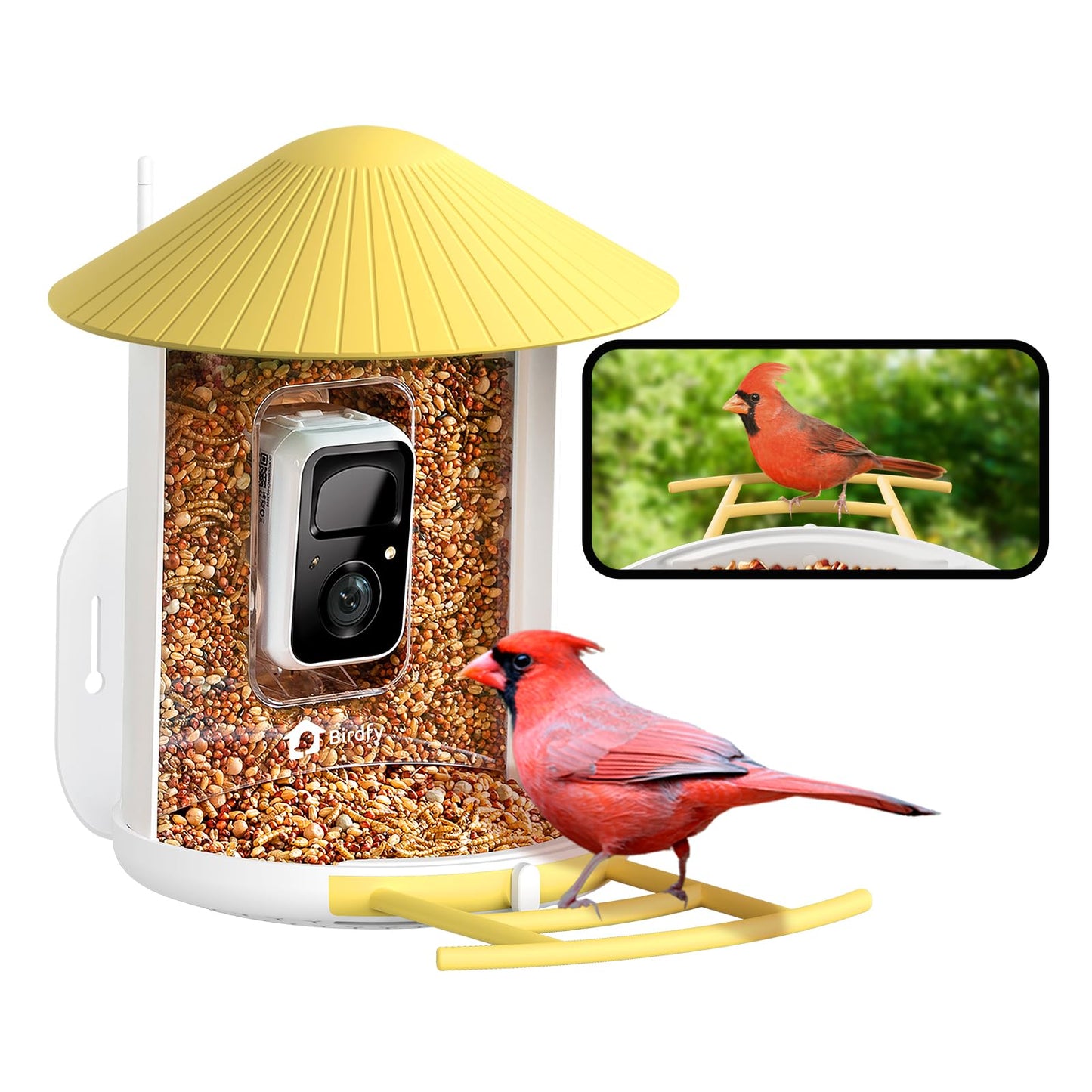 NETVUE by Birdfy Smart Bird Feeder with Camera & Shield
