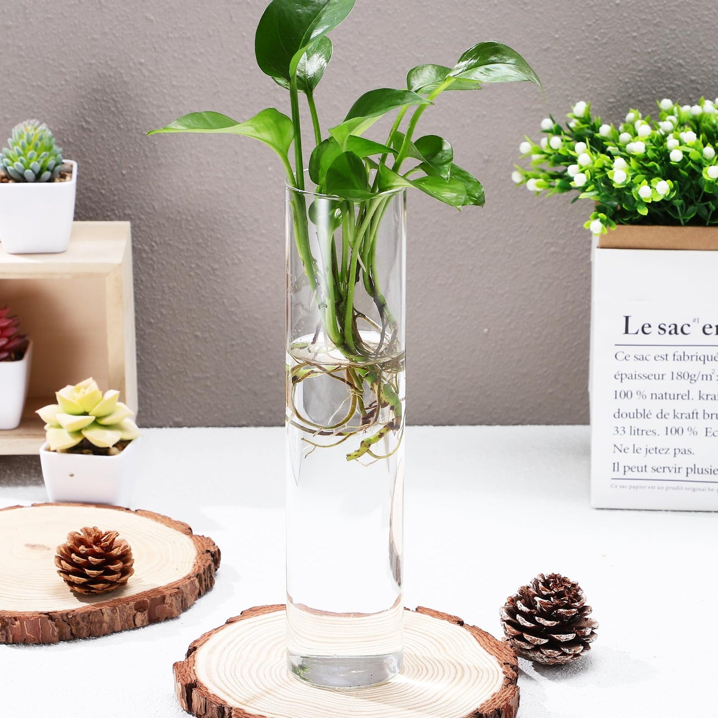 iplusmile 2pcs Large Glass Tube Wall Vases for Hydroponic Plant Propagation, Hanging Glass Terrarium Plants Holder, Modern Wall-Mounted Flower Vases for Indoor Home Décor