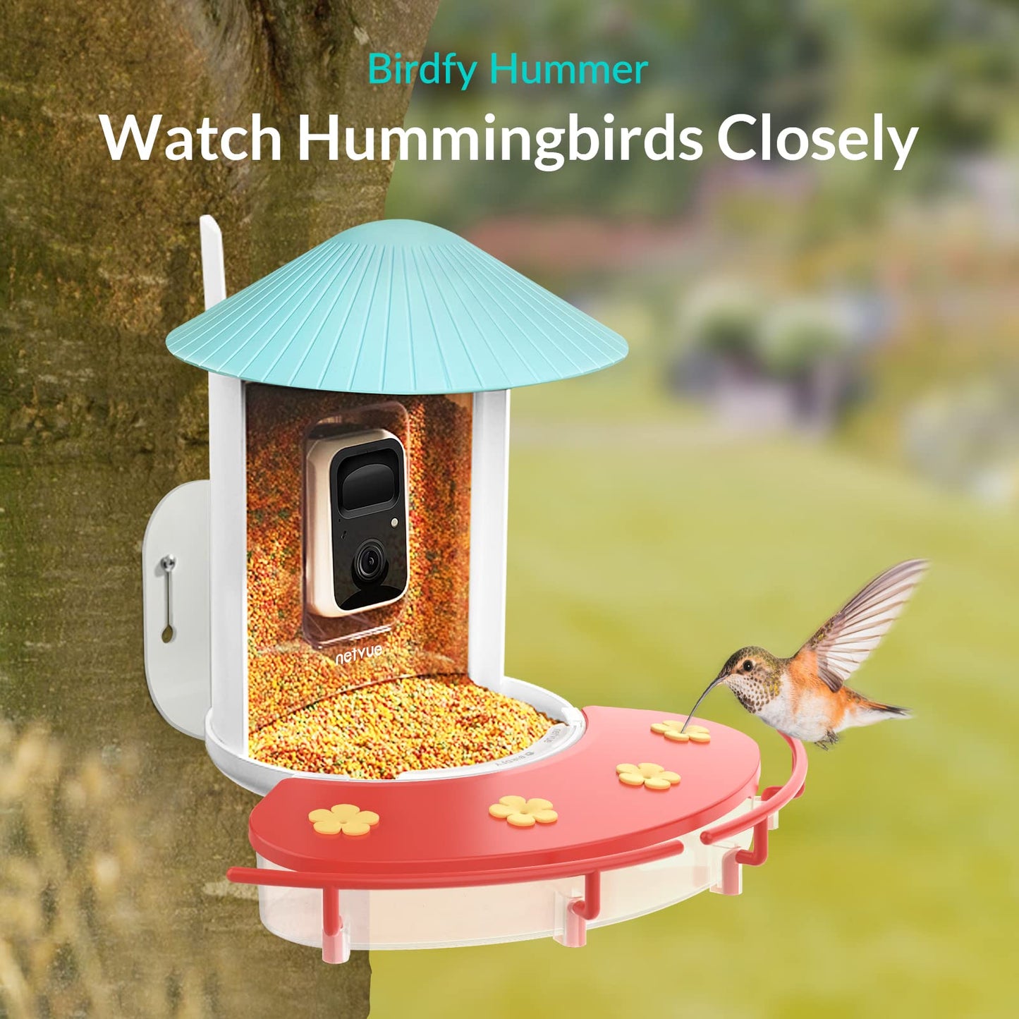 NETVUE by Birdfy Smart Bird Feeder with Camera & Hummingbird Feeder Perch, Attract More Bird Species