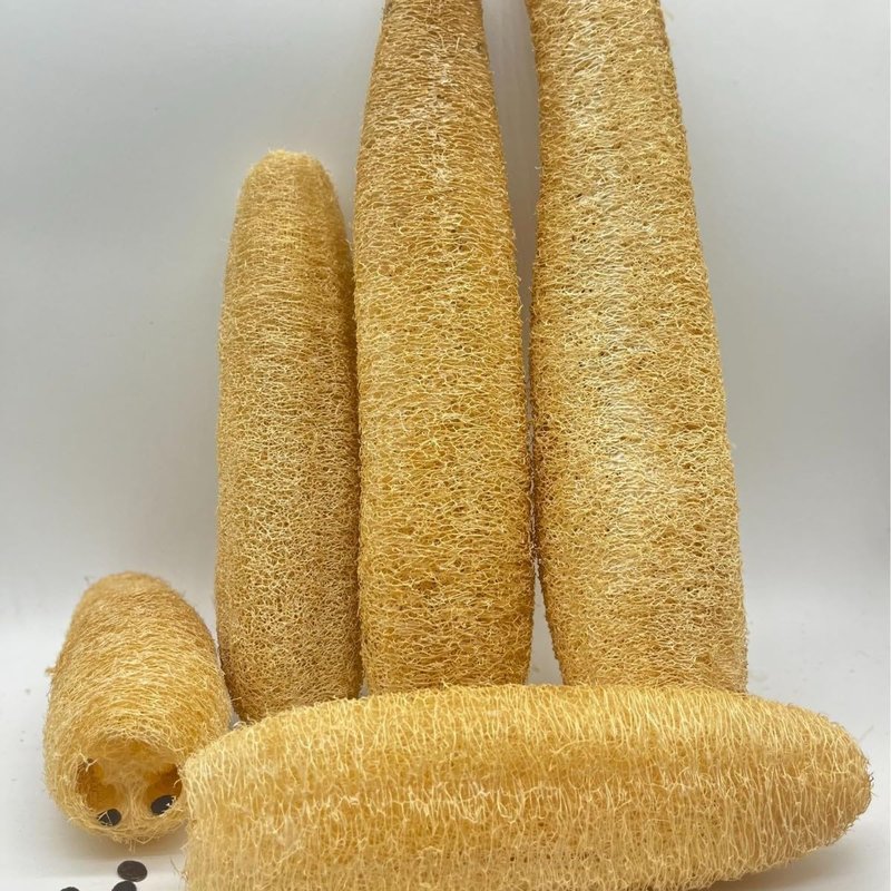 Spoojie Natural Egyptian Loofah Sponge (2-Pack) - Exfoliating Body Scrubber for Women & Men, Organic Plant-Based Bath Sponge for Face, Body & Back Cleaning - Gentle Exfoliation for Soft Skin