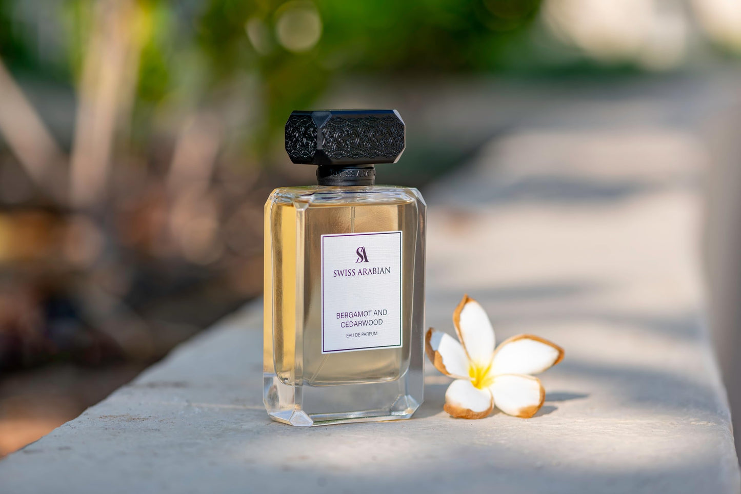 Swiss Arabian Bergamot and Cedarwood - Arabian Perfume for Men - Long-Lasting Cologne for Men - Eau de Parfum - Citrus, Woody Fragrances - 3.4 oz