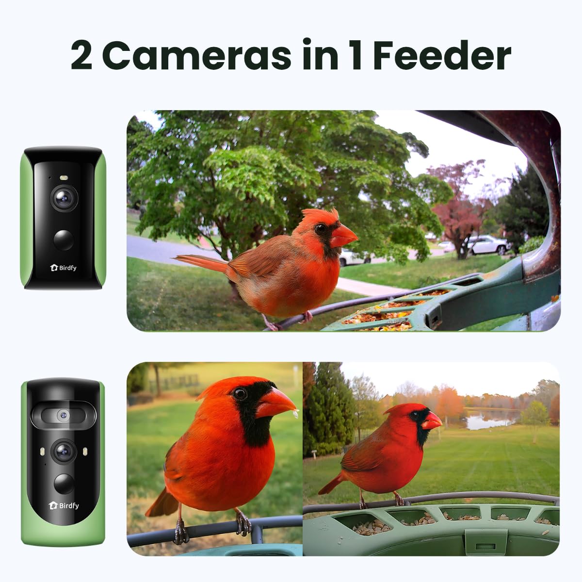 Birdfy 2 Smart Bird Feeder with Camera, AI Identifies Bird Species, 2K Dual-Lens + Side HD Camera for Live Streaming & Feeding View, Solar-Powered Backyard Birdwatching Gift Present