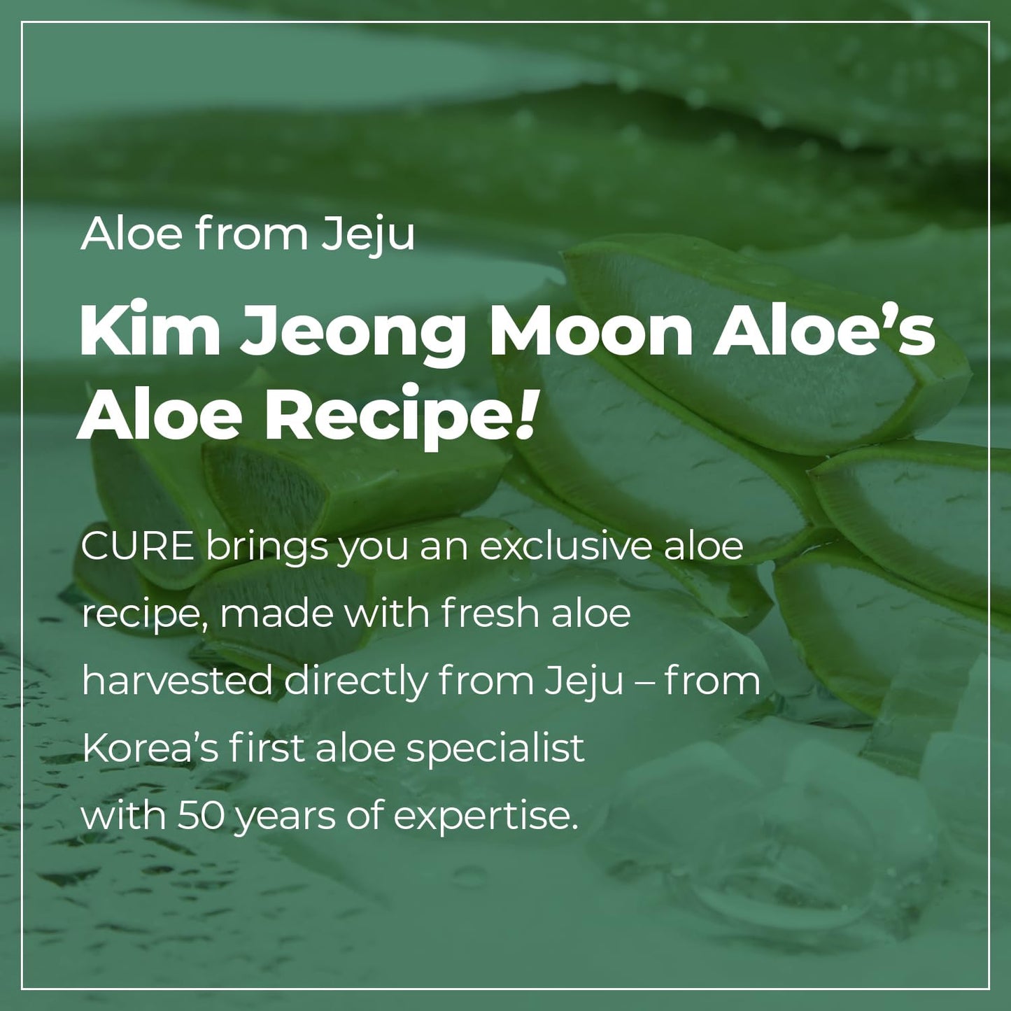 CURE Aloe Vera Foam Cleanser – Hydrating Gentle Korean Face Wash with Aloe & Centella for Sensitive Skin, Pore Care & Deep Cleansing, 3.38 fl oz