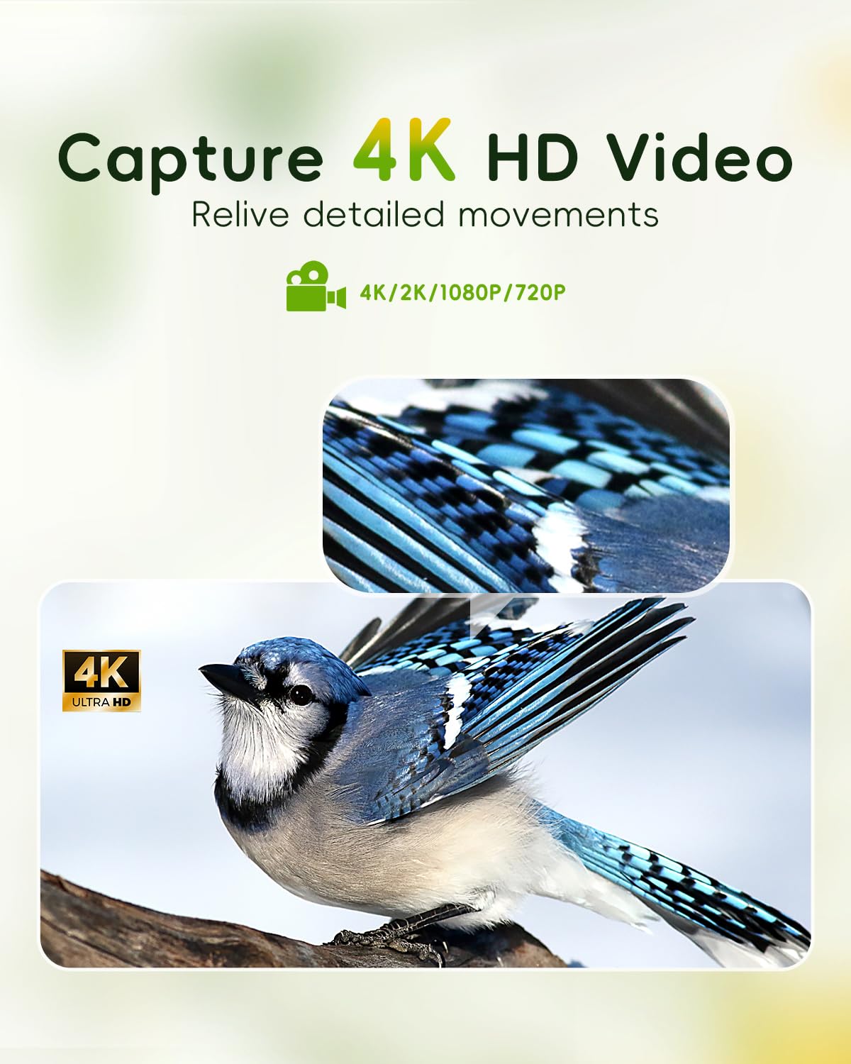 Hibird 4K HD Smart Bird Feeder with Camera, 2.4G/5G Dual WiFi Wireless Outdoor, Auto Higher Resolution Bird Video Capture, AI Identify 10000+ Species, 1080P Live Function for Everyone