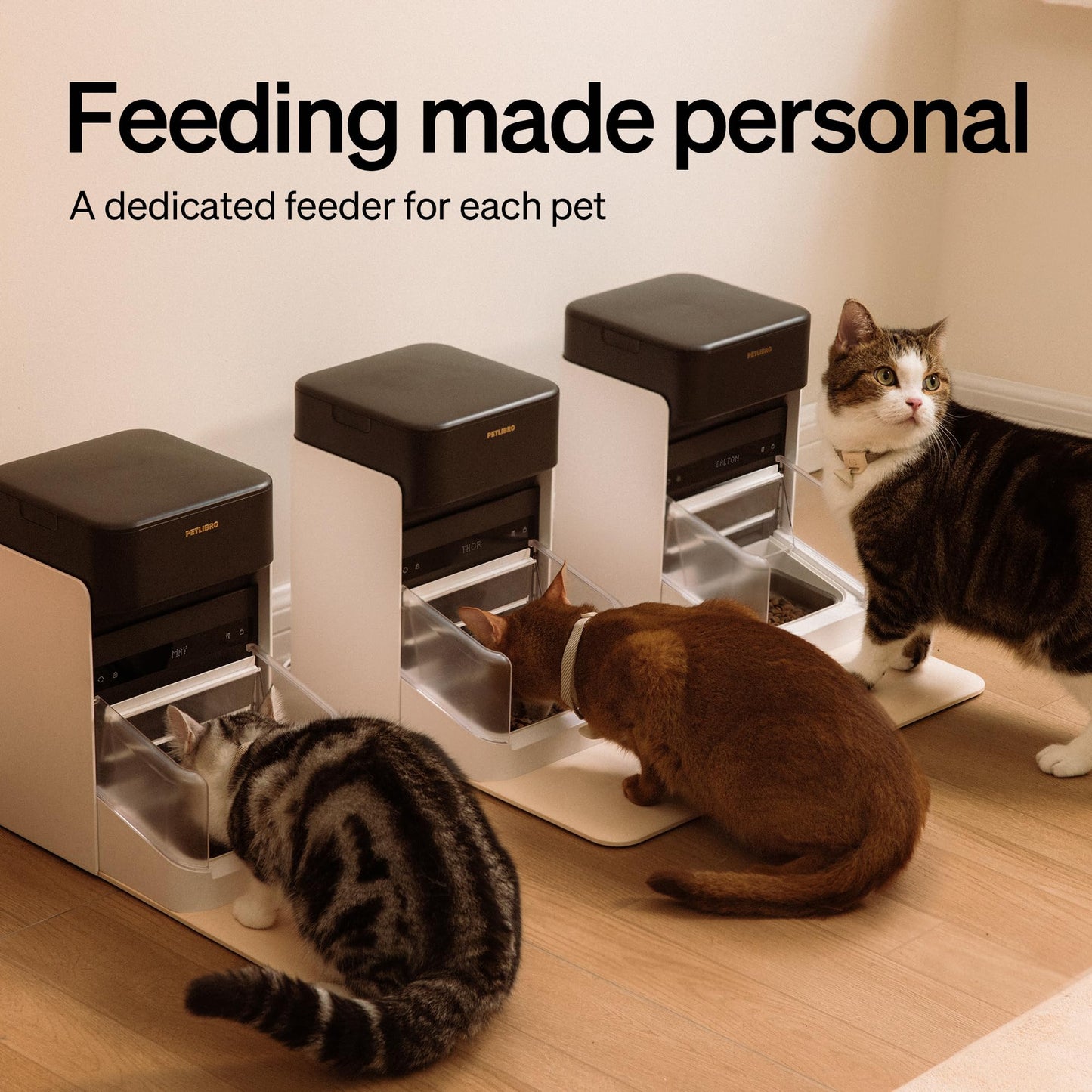 Bundle of PETLIBRO RFID Smart App Cat Water Fountain 2.4G Wi-Fi, 101oz/3L Fountain with Collar Tag+PETLIBRO Upgraded RFID Automatic Cat Feeder, 5G Wi-Fi Pet Feeder, 3L Feeder with Collar Tag,