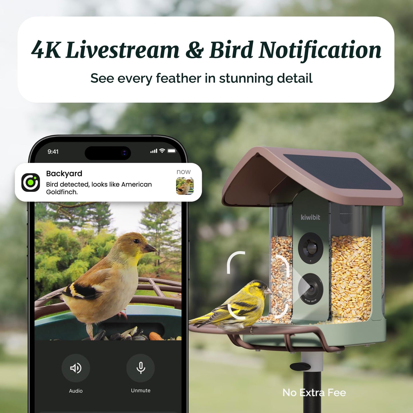Beako™ Smart Bird Feeder with 4K Camera - Lifetime AI Bird Species Identification, No Subscription Required, 8MP Live Stream & Photos, Auto Capture, Real-Time Notifications, Solar Powered for Outdoors