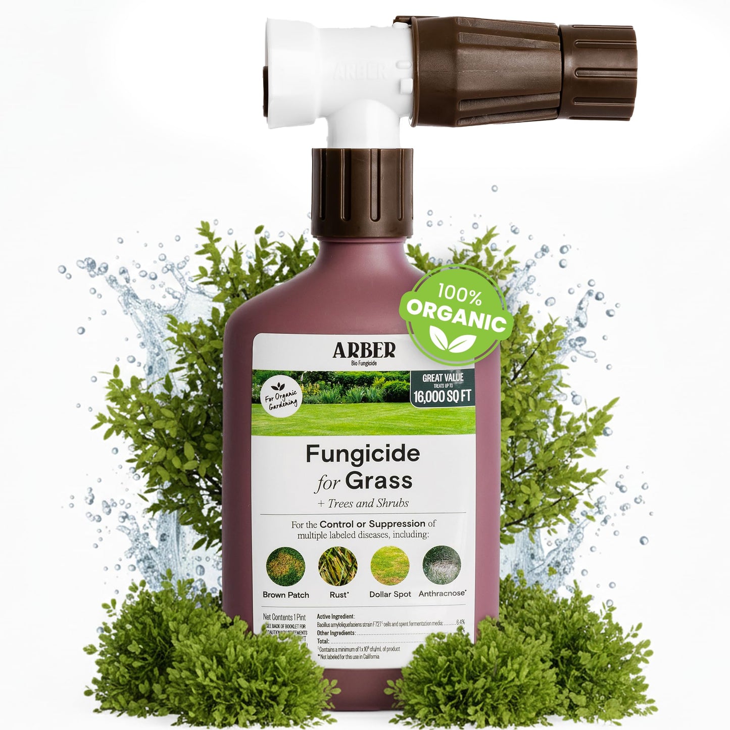 Organic Lawn Fungicide â 16oz Ready-to-Spray Hose-End; Lawns, Trees & Shrubs â Targets Brown Patch, Dollar Spot, Rust, Powdery Mildew & Root Rot â Kid- & Pet-Safe; Coverage up to 16,000 sq ft