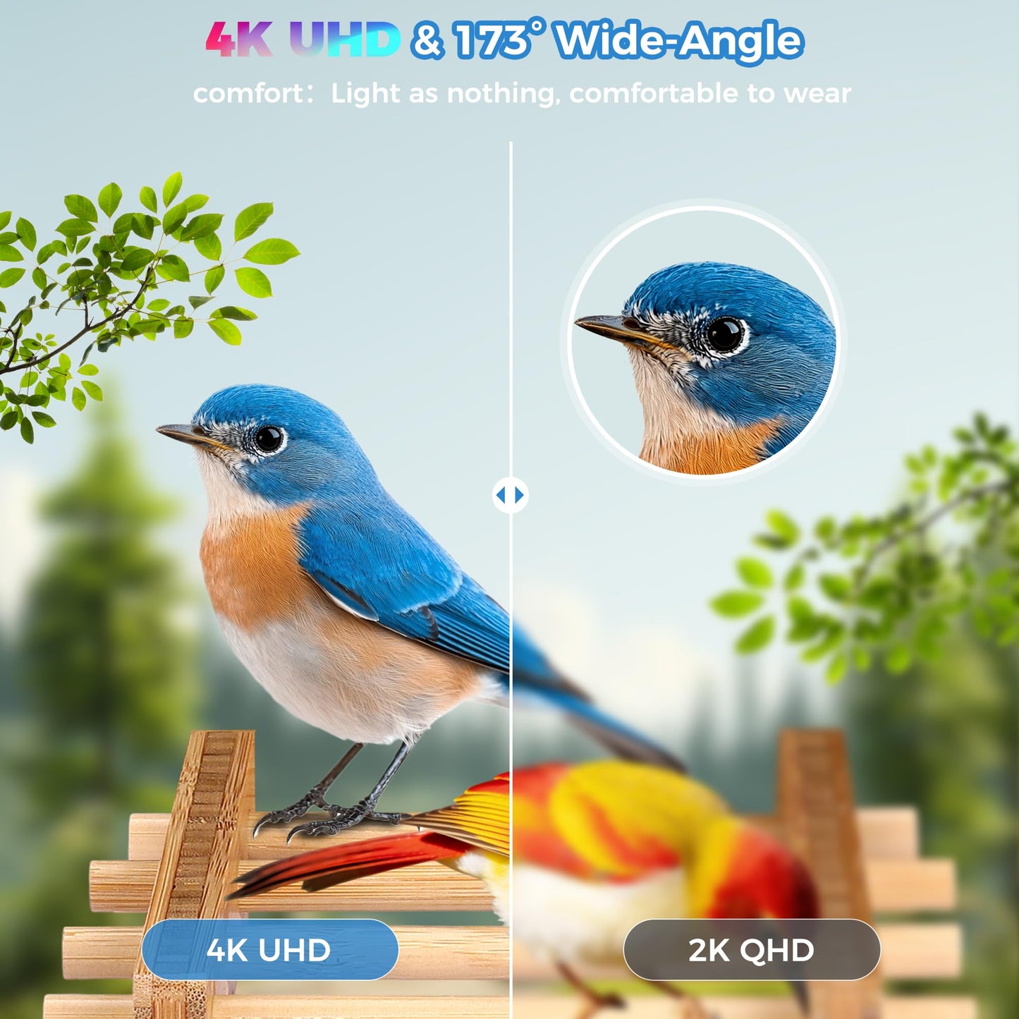 Bamboo Smart Bird Feeder with 4K Camera, AI Bird Identification 10000+ Species, Solar Powered & USB-C Charging, IP65 Weatherproof, 1.25L Speed Capacity for Outdoor Garden (Wall Mount/Pole) (Large)