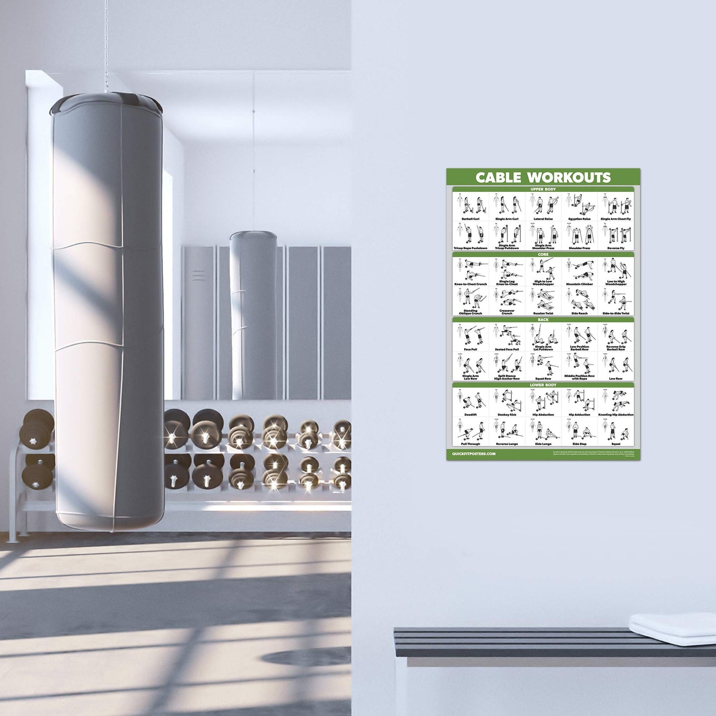 QUICKFIT Workout Poster Cable Machine, an Exercise Chart for Cable Training Station, Laminated, Gym, 18" x 24"""
