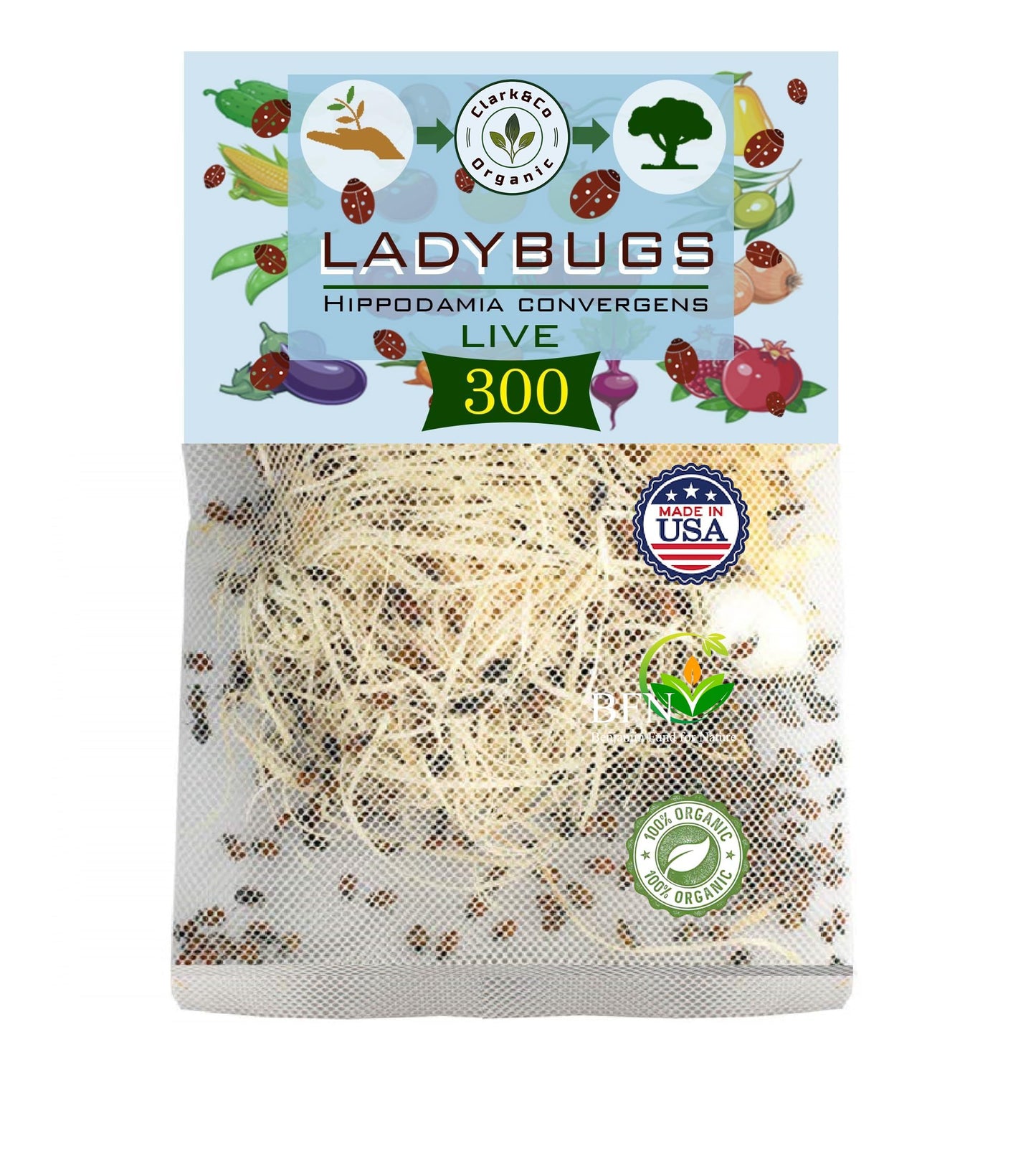 Live Ladybugs - Good Bugs for Garden - Hippodamia Convergens - Guaranteed Live Delivery!⦠(Ladybugs, 300, Count)