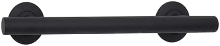 Seachrome 12-inch Coronado Designer Straight Bathroom Shower Grab Bar, Stainless Steel, Matte Black