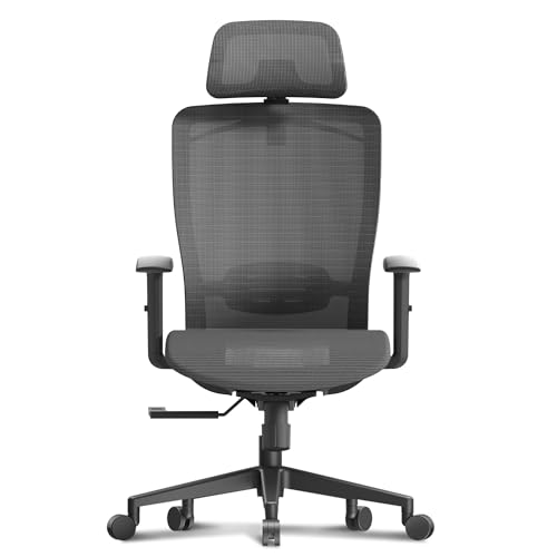 FLEXISPOT Ergonomic Office Chair, High Back Mesh Swivel Computer Chair, Executive Office Desk Chairs, with Adjustable Lumbar Support/2D Headrest/Lockable Backrest, OC3 Mesh Seat, Gray