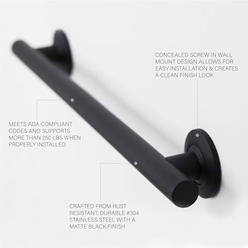 Seachrome 36-inch Coronado Designer Straight Bathroom Shower Grab Bar, Stainless Steel, Matte Black