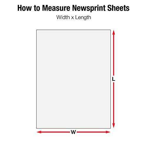 Aviditi Newsprint Packing Paper Sheets for Moving (25 Lbs.), 20"W x 30"L, 20" Width, 30" Length, White