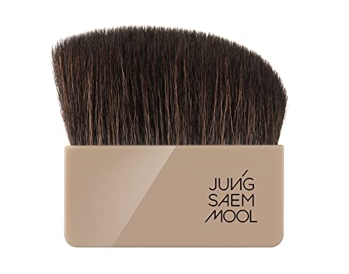 [JUNGSAEMMOOL OFFICIAL] Skin Nuder Pact (Shading)