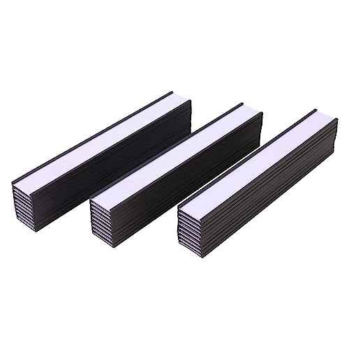 100 Pieces Magnetic Label Holders with Magnets Magnetic Data Card Holders with Clear Plastic Protectors for Metal Shelf, Whiteboard (0.75 x 6 Inch)
