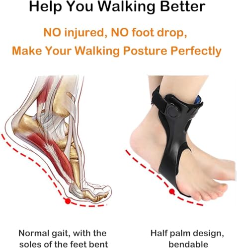AFO Drop Foot Brace, Upgraded Medical Foot Up Ankle Foot Orthosis Support with Inflatable Airbag for Hemiplegia Stroke Shoes Walking Foot Stabilizer (Right, L)