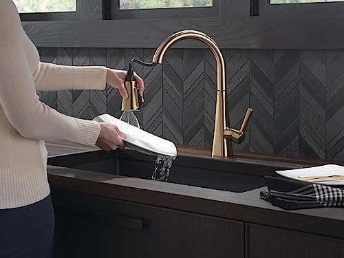 Delta Faucet Lenta Gold Kitchen Faucet, Soap Dispenser Included, Kitchen Sink Faucet, Gold Faucet for Kitchen Sink with Magnetic Docking Spray Head, Champagne Bronze 1982Z-CZ-DST