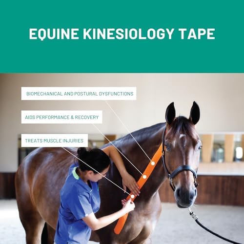 VETKIN VetkinTape® Veterinary Kinesiology Tape | Tape for Horses & Dogs | Equine & Canine Kinesiotape | Latex Free and Quality Mark Certified Ktape | 1.2 inch | Pack of 2 Rolls (Orange)