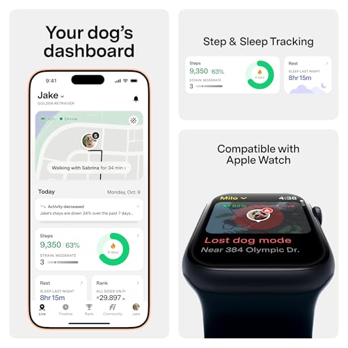 Fi New Series 3+ Smart Dog Tracker Collar [12 Month Membership Included] GPS Tracker for Dogs with Health & Behavior Monitoring, Escape Alerts, Waterproof, LED, Apple Watch Compatible (Gray, Medium)