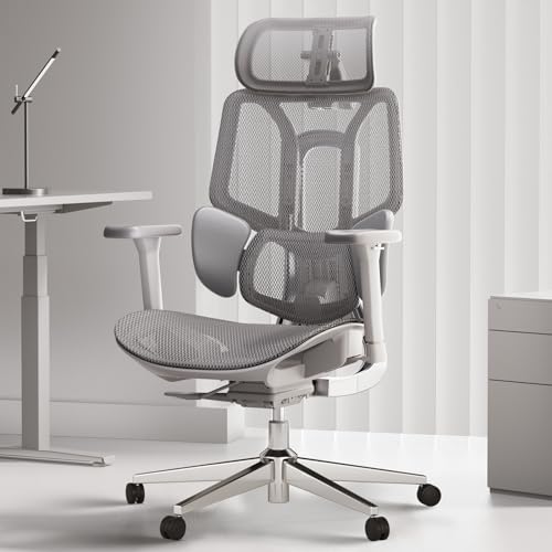 Hbada E3 Air Ergonomic Office Chair, Big and Tall Office Chair - with 3-Zone Dynamic Lumbar Support, 3D Adjustable Headrest, 3D Adjustable Armrests, Swivel, Grey(No Footrest)