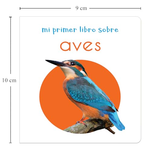 My First Learning Library Box of 20 Board Books - Spanish (Spanish Edition)