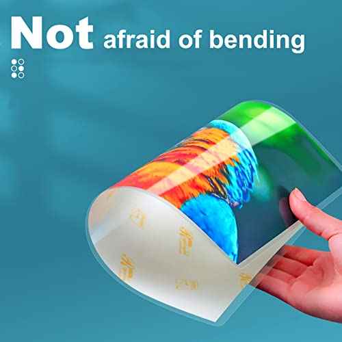 5 Mil Laminating Sheets, Holds 8.5 x 11 Inch Sheets 300 Pack, Thermal Laminating Pouches for Laminator, 9 X 11.5-inches/Letter Size Thermal Laminating Paper, Round Corner