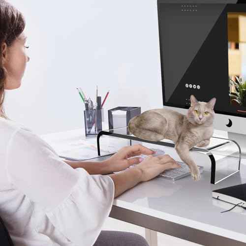 Acrylic Cat-Proof Laptop Stand & Keyboard Protector - 19.7" Clear Monitor Riser with Non-Slip Base for Home Office, Ergonomic Desk Organizer (Supports 50lbs)