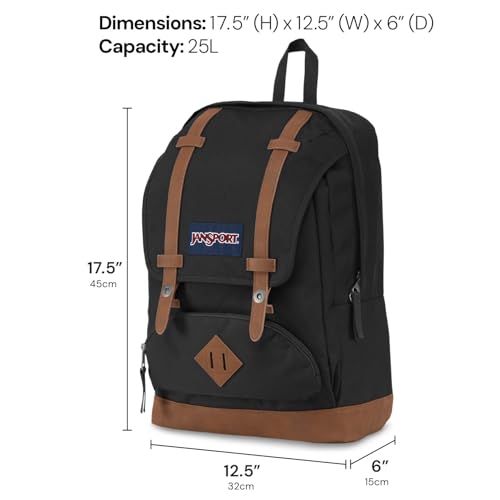 JanSport Cortlandt Laptop Backpack, Misty Rose, 15¡± Laptop Sleeve-Synthetic Leather Shoulder Computer Bag with Large Compartment, Padded Straps-Book Rucksack for Men, Women