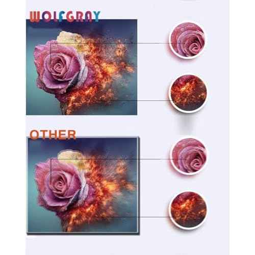 Wolfgray LC103 LC103XL Color Ink Cartridges Compatible with Brother LC101 LC-103 LC103CL XL for Brother Printer MFC-J870DW MFC-J470DW MFC-J450DW MFC-J6720DW J650DW J4410DW J475DW (4C+4M+4Y)