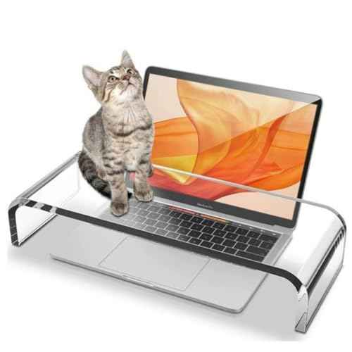 Acrylic Cat-Proof Laptop Stand & Keyboard Protector - 19.7" Clear Monitor Riser with Non-Slip Base for Home Office, Ergonomic Desk Organizer (Supports 50lbs)