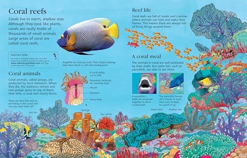 First Encyclopedia of Seas and Oceans