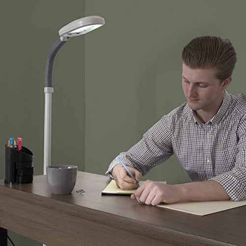 Lavish Home Floor Lamp - Full Spectrum Natural Sunlight Lamp with Bendable Neck - Reading, Craft, Studying, and Esthetician Light (Beige)