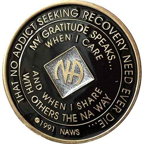 11 Year Black and Silver Glitter NA Medallion Official Narcotics Anonymous Chip
