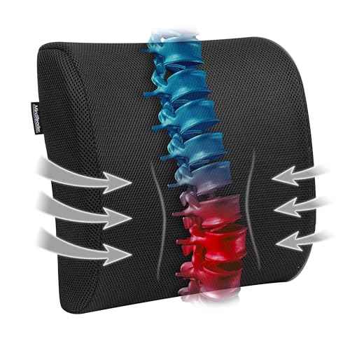Mind Reader Memory Foam Back Cushion, Lumbar Support, Posture Corrector, Office Chair, Car Seat, 13.5"L x 4"W x 12.25"H, Black