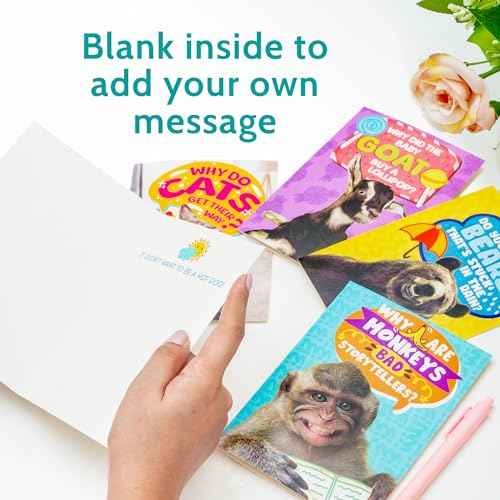 T MARIE 24 Funny Animal Joke Notecards With No Repeats - Humorous Bulk Cards Set - 4.5¡± x 6.25¡± Thinking of You Cards for Friends, Kids, Students, Teachers, Summer Camp and More