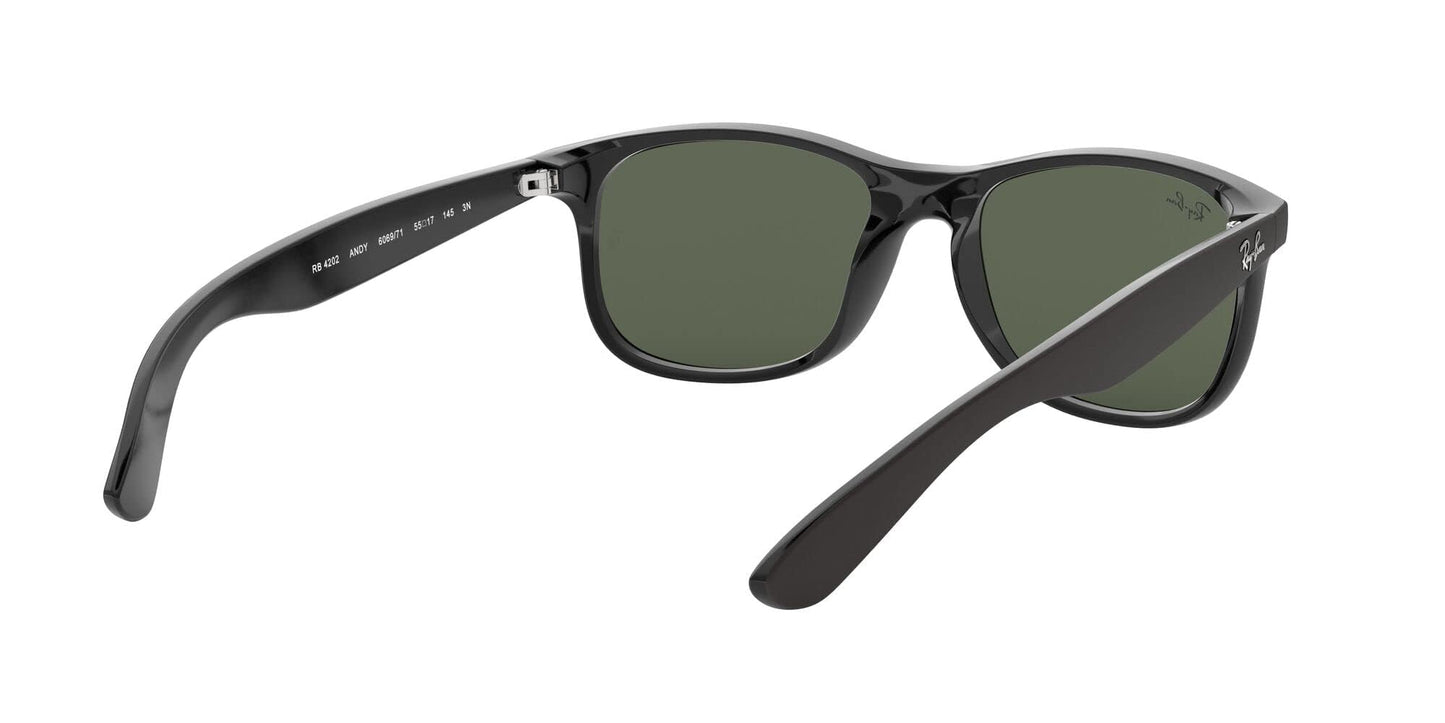 Ray-Ban Unisex RB4202 Andy Rectangular Sunglasses, Matte Black On Black/Dark Green, 55 mm