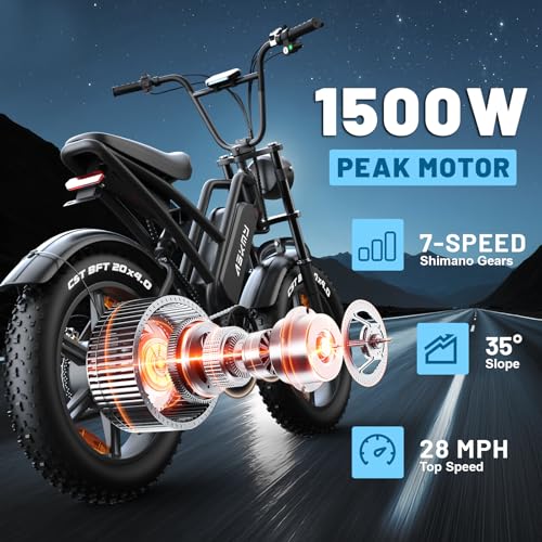 RPINT Electric Mountain Bike with 1500W Peak Motor Ebike, 28MPH and 40-60 Miles PAS Range, Electric Bicycles with 48V 15Ah Removable Battery, 20" Fat Tire Dirt E Bike for All-Terrain
