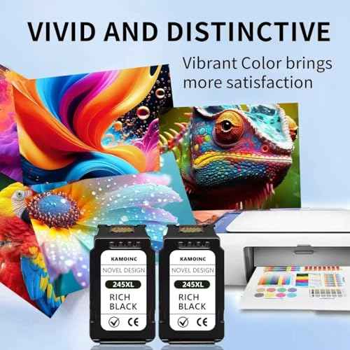 245xl Ink Cartridge Replacement for Canon Ink Cartridge 245 PG-245 243 PG-243 Compatible with Canon Printer MG2525 MG2420 MG2920 MG3020 mx490 MX492 TR4520 TS3120 TS202 (2Black)
