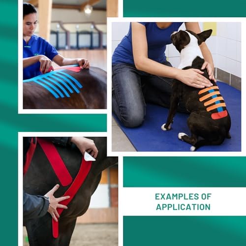 VETKIN VetkinTape® Veterinary Kinesiology Tape | Tape for Horses & Dogs | Equine & Canine Kinesiotape | Latex Free and Quality Mark Certified Ktape | 1.2 inch | Pack of 2 Rolls (Orange)