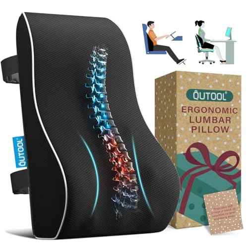 QUTOOL Lumbar Support Pillow with DIY Gift Box - Birthdays Gifts for Women Men, Ergonomic Back Support with Breathable 3D Mesh Cover, Suited for Office Chairs, Gaming ChairsÂ£Â¬Car, Home Use (Black)