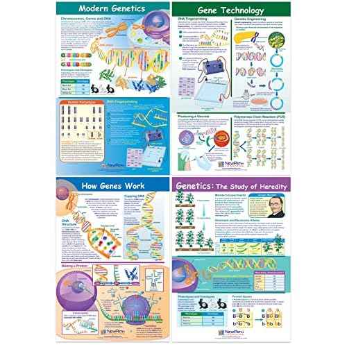 NewPath Learning Genetics & Heredity Posters, Set/4 (Genetics, Modern Genetics, How Genes Works, Gene Technology) - Laminated, Full-Color, 23" x 35" (34-9702)