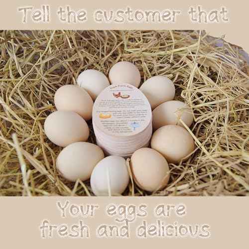 250 Pcs PREMIUM Fresh Farm Egg Handling Instruction Cards - 2.7 X 3.5 Inches - Egg Stamps For Eggs Care Egg Cartons Cheap Bulk - Egg Stamps For Fresh Eggs For Egg Cartons Reusable - Eggs Shape Style