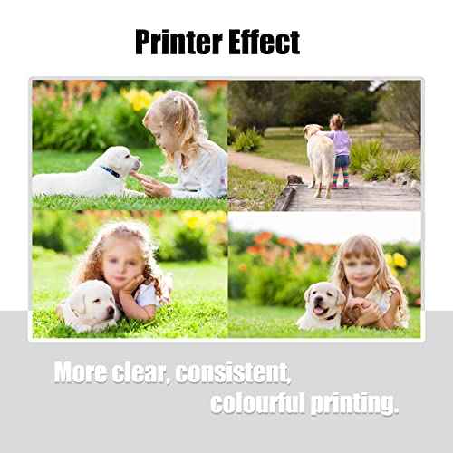 NoahArk 7 Packs T098 T099 Remanufactured Ink Cartridge Replacement for Epson 98 99 for Artisan 700 710 725 730 800 810 835 837 Printer (2 Black,1 Cyan,1 Magenta,1 Yellow,1 Light Cyan,1 Light Magenta)