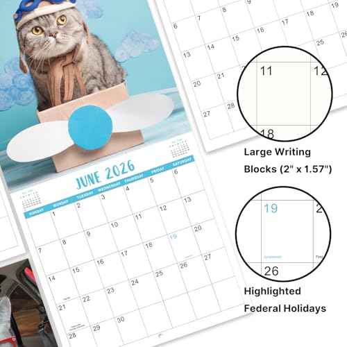 2026 Wall Calendar - 2026 Calendar, Funny Cat Calendar 2026, Jan. 2026 - Dec. 2026, Wall Calendar Gag Gift, Funny Cat Memes Pics, 12'' x 24'' (Open), Unruled Block, Hanging Hole, Holidays